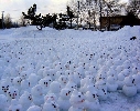 cez 1000 snehuliakov postavili